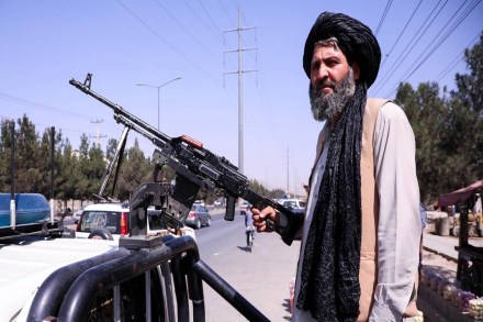 taliban