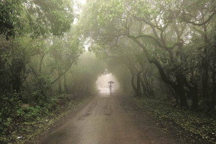 The Madhav Gadgil report on conservation of the Western Ghats submitted to the Centre in 2011 is brought up almost annually in connection with rain-related disaster in Kerala. The Madhav Gadgil report on conservation of the Western Ghats submitted to the Centre in 2011 is brought up almost annually in connection with rain-related disaster in Kerala.