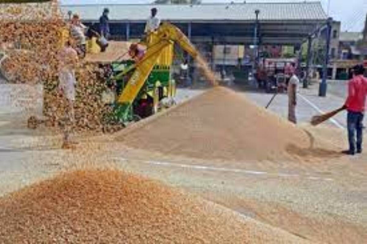 foodgrain covid foodgrain covid