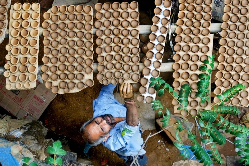 Diwali, diwali 2021, diyas on diwali, earthen lamps