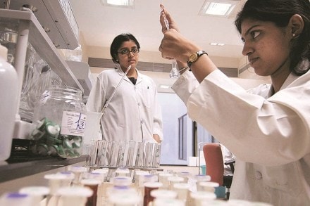 We expect strong double-digit growth in domestic formulation.