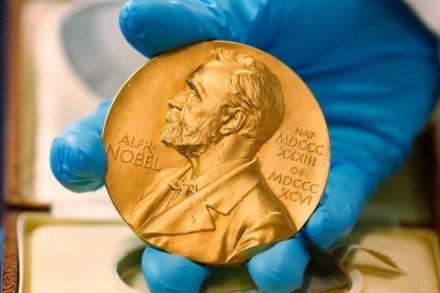 Nobel Committee said that the two recipients were the face of all journalists who stood by the ideals of journalism. (File image: AP)