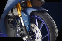 USD (upside-down) front forks