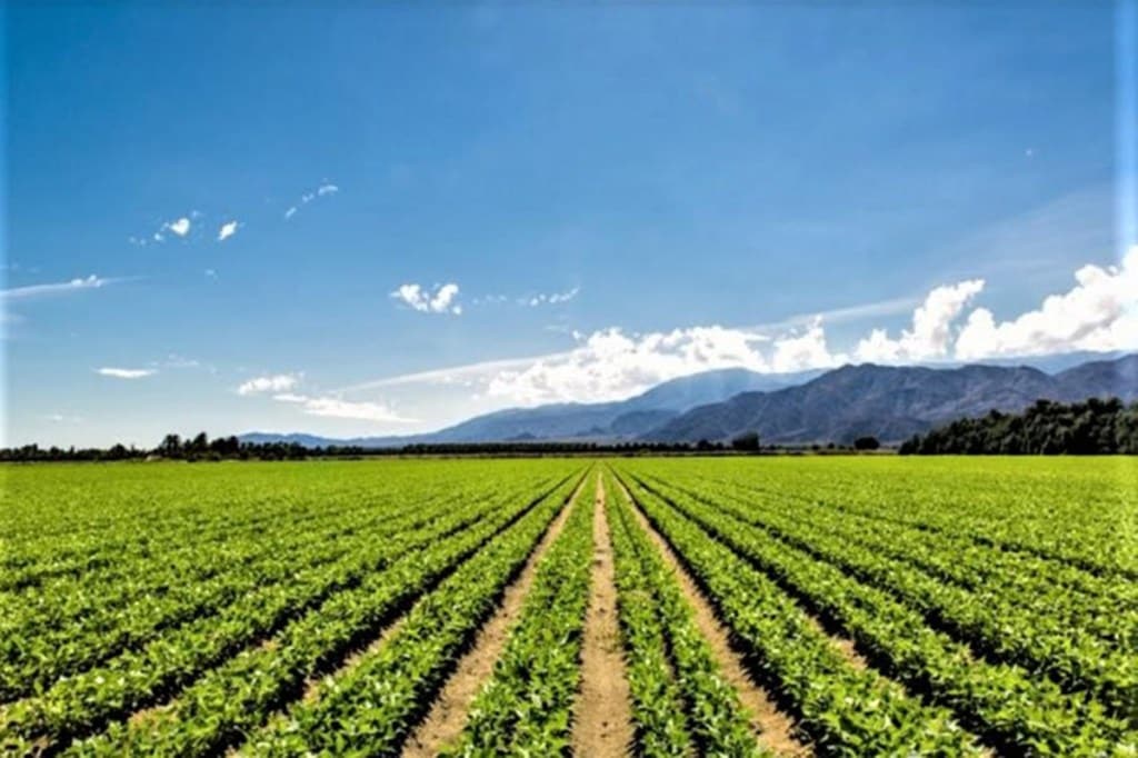 climate change climate change