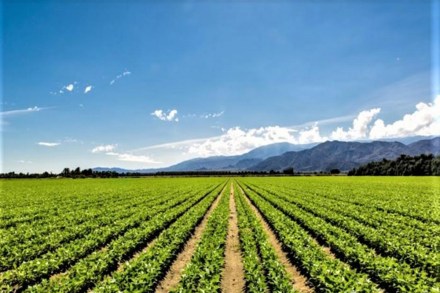 climate change climate change