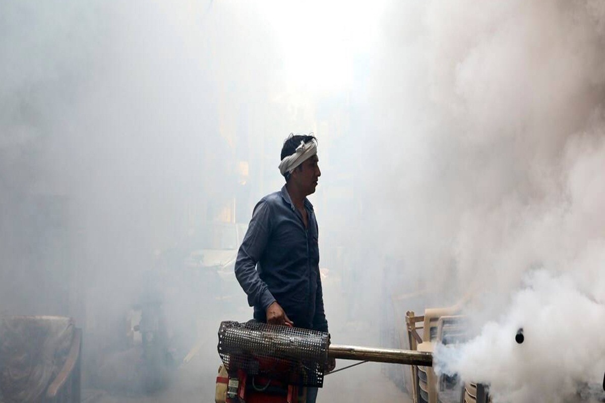 dengue cases in india