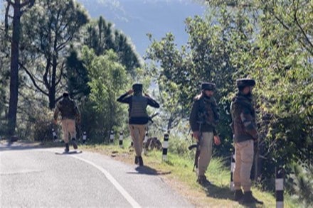 jammu kashmir forest jammu kashmir forest