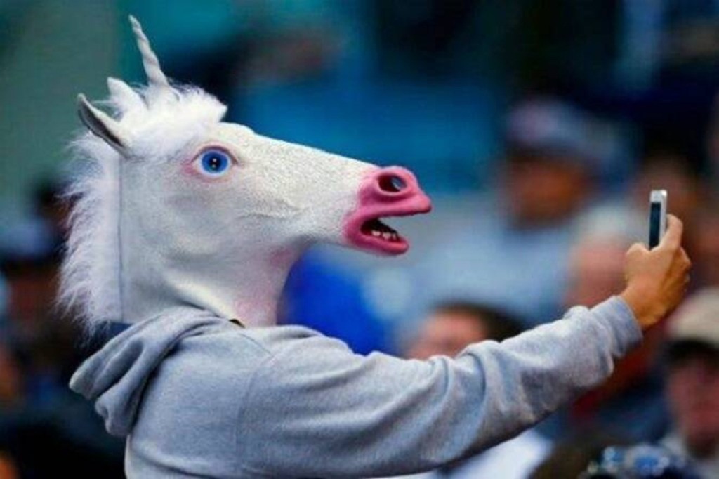 unicorns in india