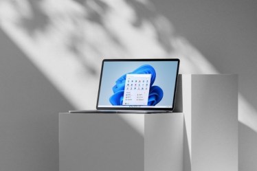 windows 11