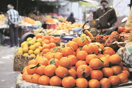 Punjab alone produces about 10-11 lakh tonnes of the kinnow fruit every year.