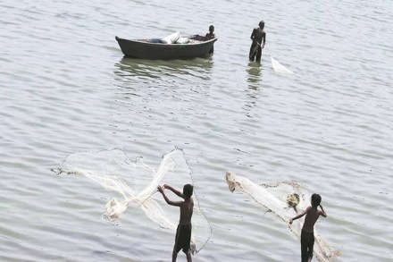 Massive subsidies, estimated to be in the range of $14 billion to $54 billion per annum globally and extended mostly by large fishing nations, have contributed to over-exploitation of the world’s fish stocks.