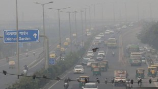 According to an analysis by the Delhi Pollution Control Committee (DPCC), people in the national capital breathe the worst air between November 1 and November 15 every year.