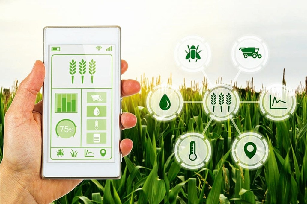 However, there continues to be significant information asymmetry and lack of meaningful data about developments in the ecosystem, which can facilitate the exchange of information and help key stakeholders introduce strategic data-led policies and interventions.