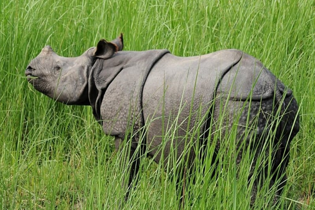 "As per government directives, the Dudhwa National Park would now be opened for tourists from November 15. However, due to heavy water-logging still prevailing in Sathiyana, the area would not be allowed for tourist activities till further instructions,” he said.