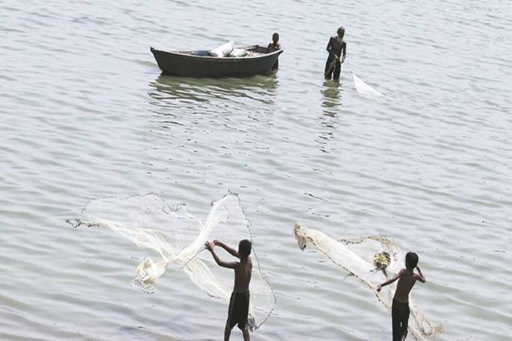 Given that a consensus on the ways to curb fishery subsidy remains elusive just days before the ministerial starts on November 30, an agreement at the meeting of the trade ministers seems unlikely unless key groups settle on a middle path.