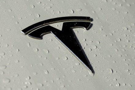 Tesla stock