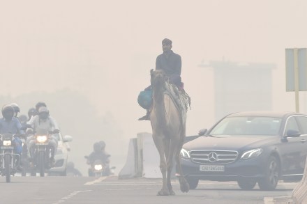 Delhi, Delhi Smog, Delhi air pollution, Delhi Lockdown Delhi, Delhi Smog, Delhi air pollution, Delhi Lockdown