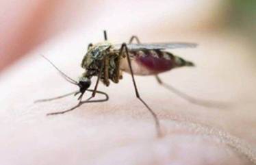 The number of cases had mounted 7,128 on November 22.