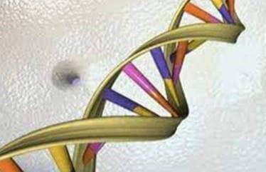FDA, novel drugs, biologics, rare diseases, Emmes, MedGenome, hemophilia, Duchenne muscular dystrophy, muscular atrophies and retinitis pigmentosa