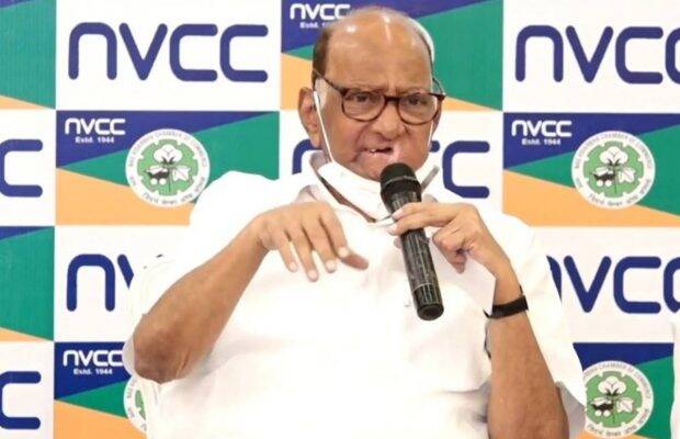 Pawar also took a jibe at Congress state chief Nana Patole over the latter's remark that NCP hardly has any presence in Vidarbha.