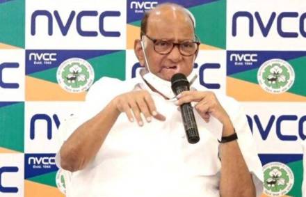 Pawar also took a jibe at Congress state chief Nana Patole over the latter's remark that NCP hardly has any presence in Vidarbha. Pawar also took a jibe at Congress state chief Nana Patole over the latter's remark that NCP hardly has any presence in Vidarbha.