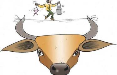 Animal nutrition, human health, E-Feed, Kumar Ranjan