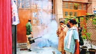 dengue cases in delhi