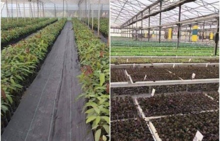 The core idea behind this project is to learn best practices from Israel. (MASHAV - Israel in India)