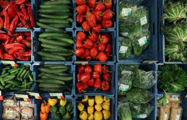 organic foods reuters