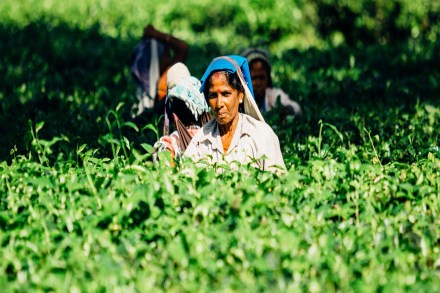 Through its Saral Jeevan Sahelis initiative, local women from villages will be sourced, recruited and skilled, and then provided an opportunity to earn a livelihood. (Image: Pexels.com)