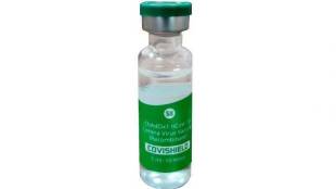 serum covishield vaccine