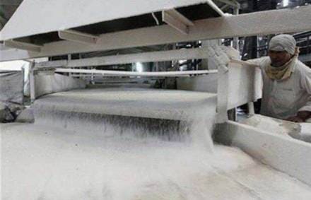 sugar production