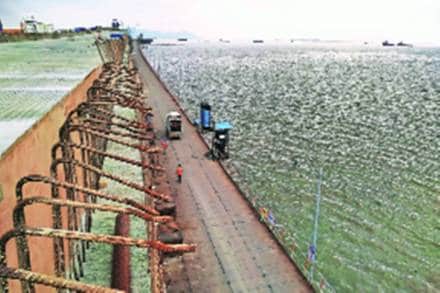 Neenu Somraj, who is the Deputy Conservator of Forests, Mangrove Protection Cell told the Indian Express that apart from flamingos a lot of other species of birds frequent the area. (Credit: The Indian Express)