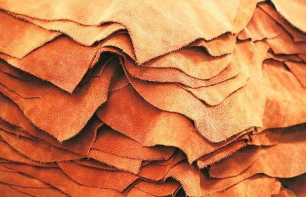 Hideous as it may be, the journey from hide to leather is needed to stabilise the layered living composite material of hide as leather. Hideous as it may be, the journey from hide to leather is needed to stabilise the layered living composite material of hide as leather.