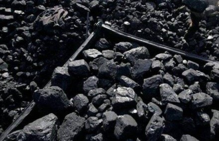 The country's coal output stood at 61.47 MT in November 2019, the coal ministry said in a statement. (File)