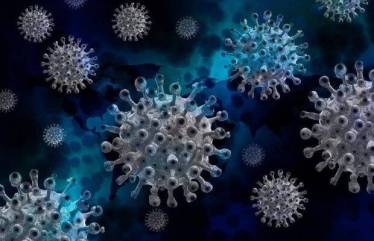 About vaccine coverage, the official said that 84.3 per cent of the adult population in India got the first dose while 49 per cent got the second dose.