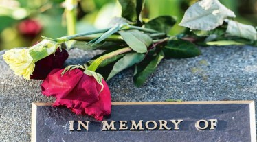 The Woods of Memory is a living monument as it is the most emotive and the one that was closest to our sentiments,” Bergamo Mayor Giorgio Gori said in a news report. So far, the place has only 100 trees planted of the 700 to be planted by March 2022 as Remembrance Day.