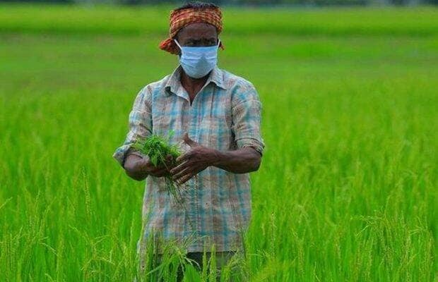 "Under the PM-KISAN scheme, the total number of transactions that have taken place is 80,27,44,674, of which the number of failed transactions is less than one per cent," he noted.