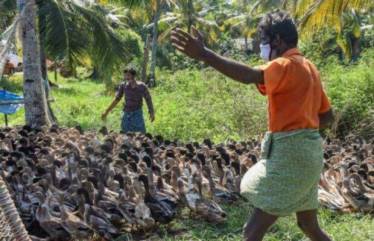 Last year too, the district reported the influenza outbreak but was contained for being localized in nature. (PTI Image)