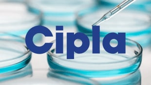 Cipla