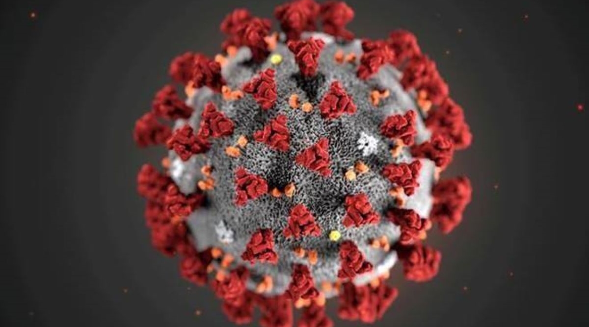 Several states and union territories have passed orders to ban gatherings on Christmas and New Year to restrict the spread of the virus. Several states and union territories have passed orders to ban gatherings on Christmas and New Year to restrict the spread of the virus.