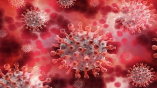 On Tuesday, the city saw 496 COVID-19 cases and one fatality due to the disease. (File)