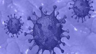 A total of 59,763 tests -- 53,174 RT-PCR and 6,589 rapid antigen tests -- were conducted a day ago, the bulletin said. (File)