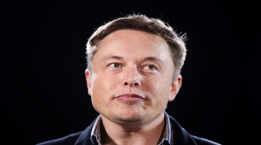 Elon Musk Tesla share