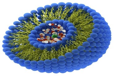 VAV Life Sciences, VAV Lipids, EU GMP, Ratnagiri, Maharashtra, Covid-19 vaccine, EXIM Bank, Finance Minister, Nirmala Sitharaman, Ubharte Sitaare program