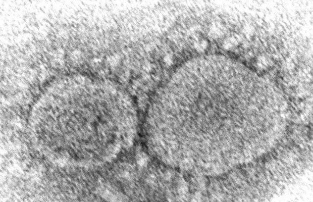 covid 19 virus covid 19 virus