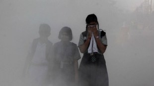 Yadav said since different cities have a different set of factors contributing to air pollution in that region, therefore focusing on the airshed is important. (File)