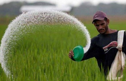 Deepak Fertilisers Deepak Fertilisers