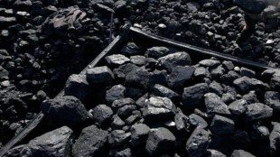 The Indian captive power producers association wants the government to earmark “at least 50 rakes per day for the non-regulated sector.