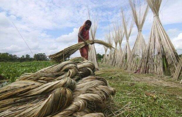 jute balers